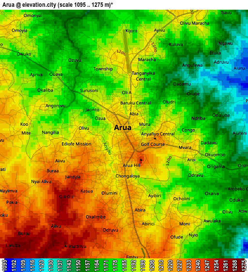 Arua elevation map