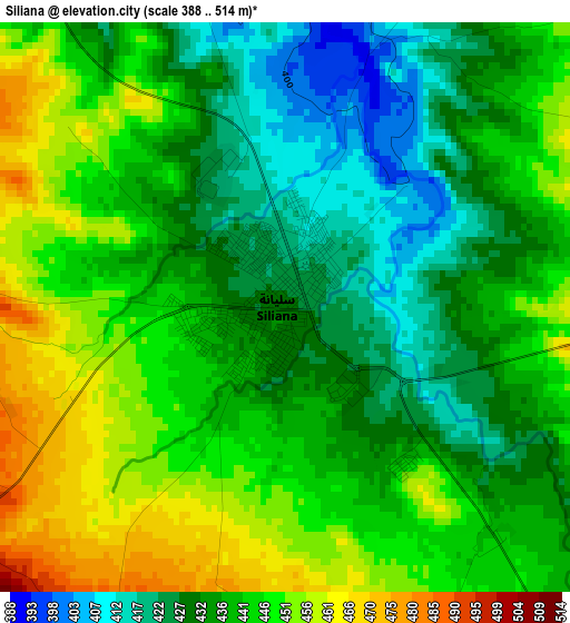 Siliana elevation map