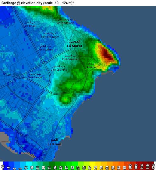 Carthage elevation map