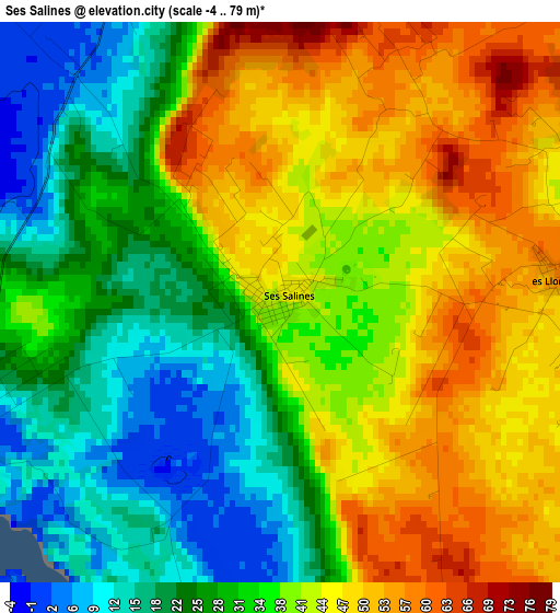 Ses Salines elevation map