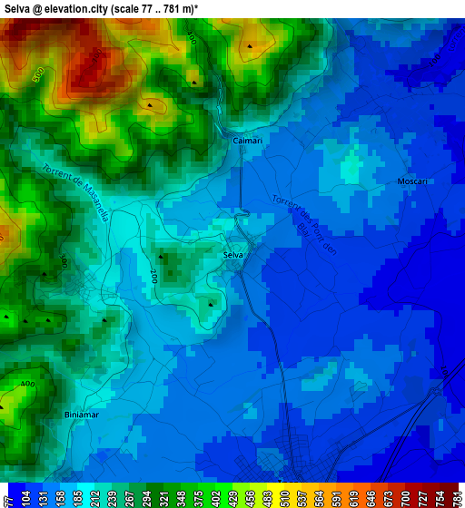 Selva elevation map