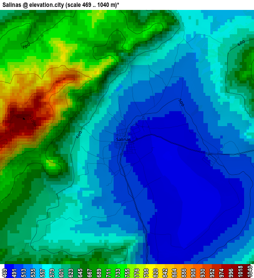 Salinas elevation map