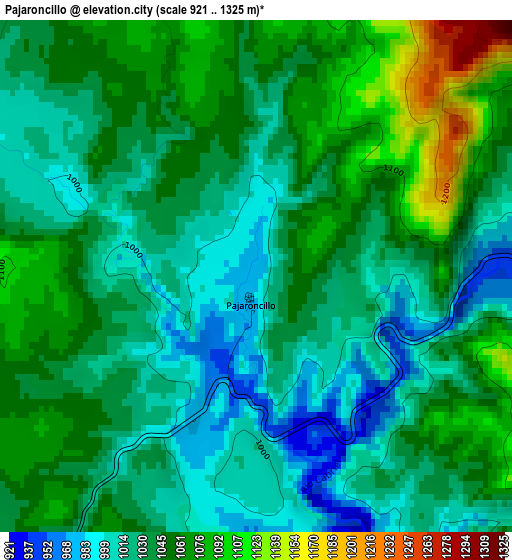 Pajaroncillo elevation map