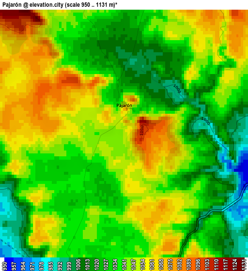 Pajarón elevation map