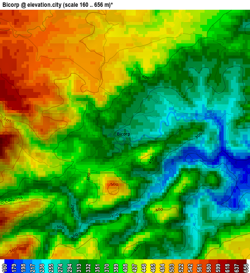 Bicorp elevation map