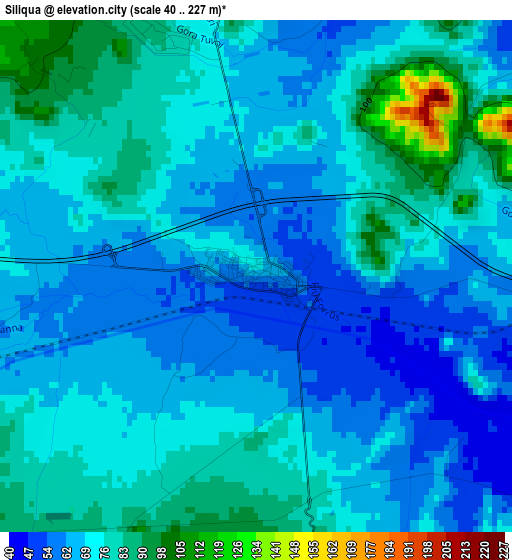 Siliqua elevation map