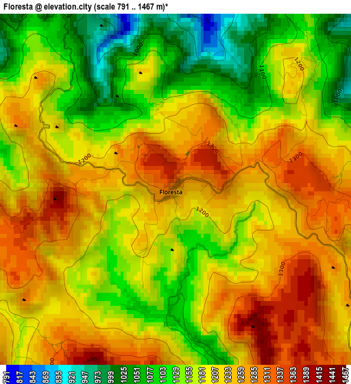 Floresta elevation map