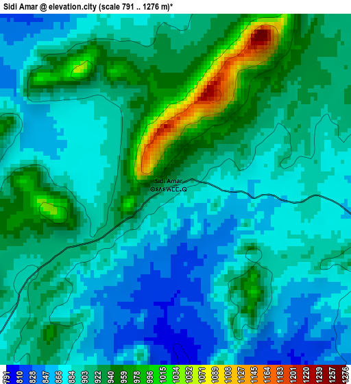 Sidi Amar elevation map