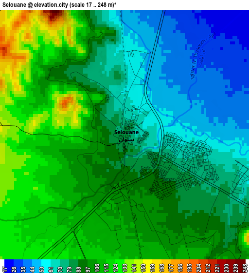 Selouane elevation map