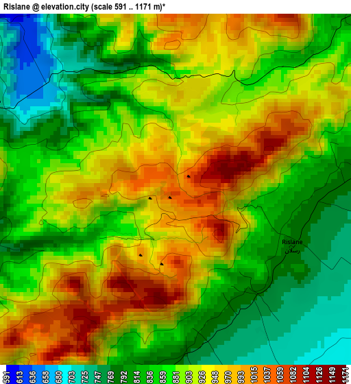 Rislane elevation map