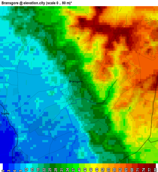 Bransgore elevation map