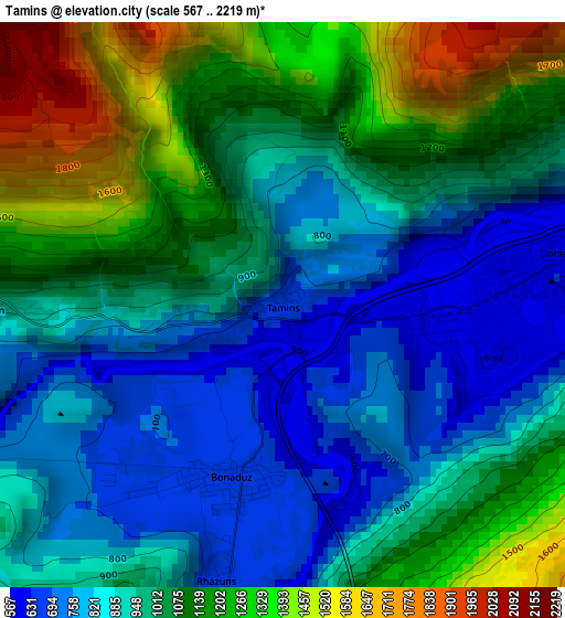 Tamins elevation map