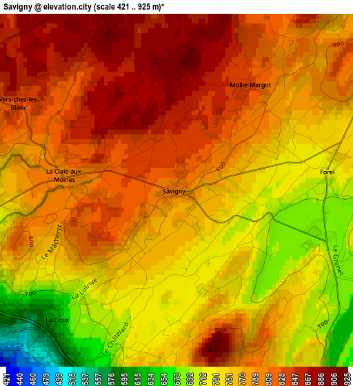 Savigny elevation map