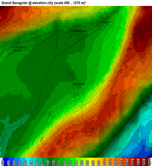 Grand-Savagnier elevation map