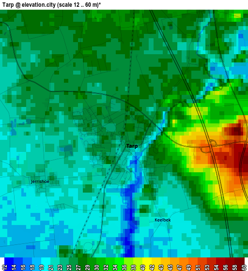 Tarp elevation map