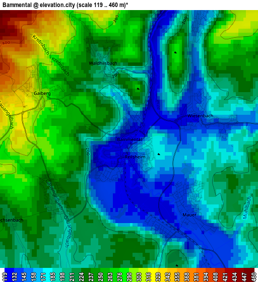 Bammental elevation map