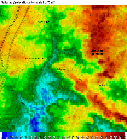 Salignac elevation map