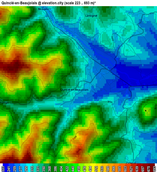 Quincié-en-Beaujolais elevation map