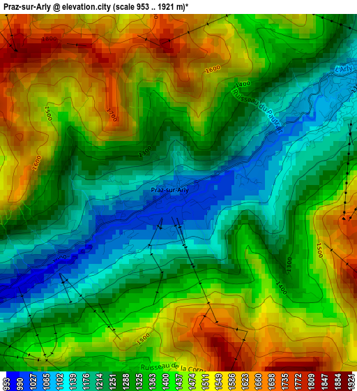 Praz-sur-Arly elevation map