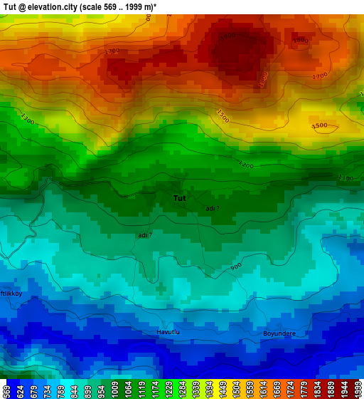 Tut elevation map