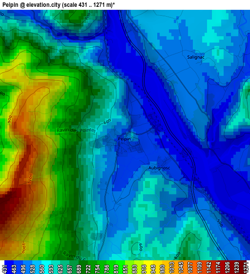 Peipin elevation map