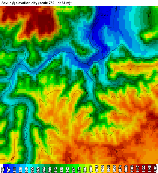 Savur elevation map