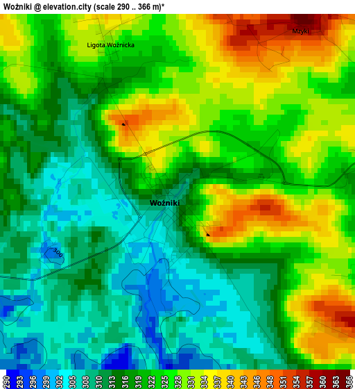 Wożniki elevation map