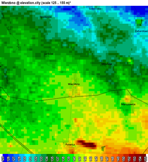 Wierzbno elevation map