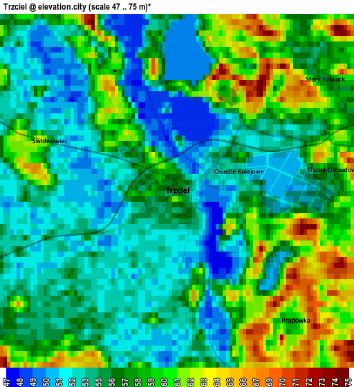 Trzciel elevation map