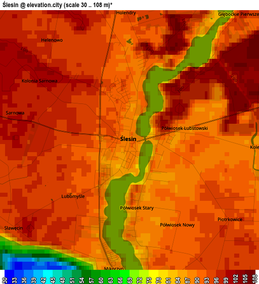 Ślesin elevation map