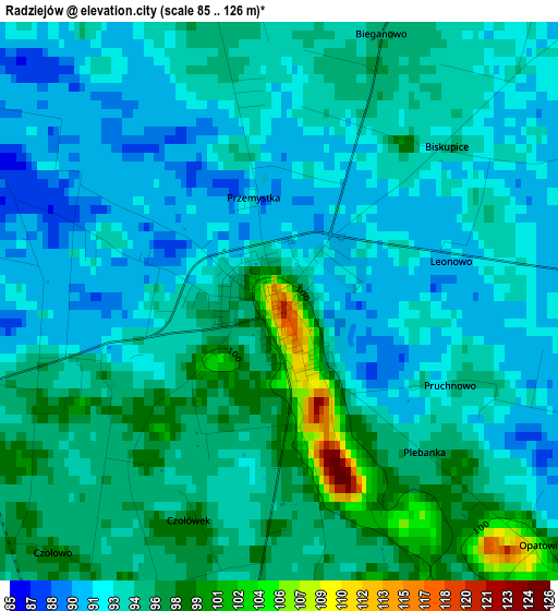 Radziejów elevation map