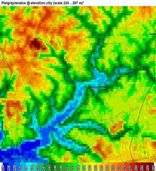 Pielgrzymowice elevation map