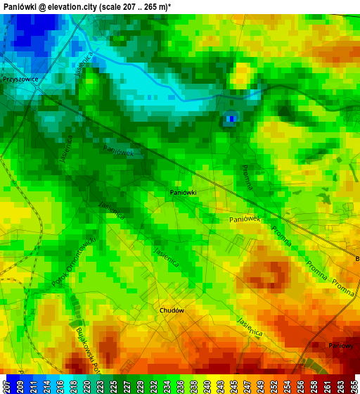 Paniówki elevation map