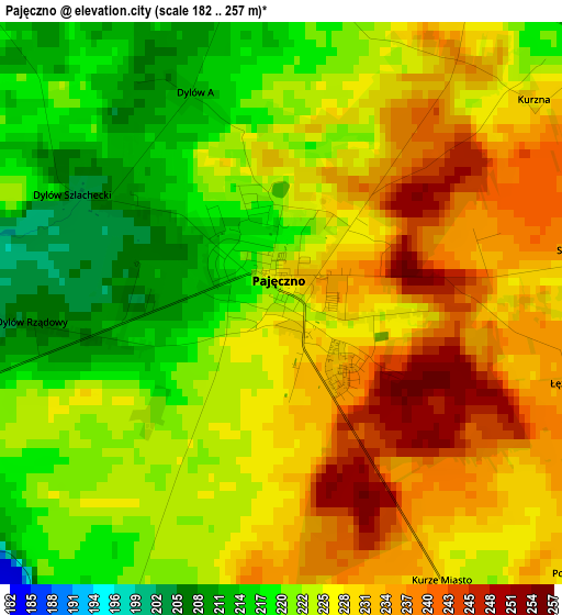 Pajęczno elevation map