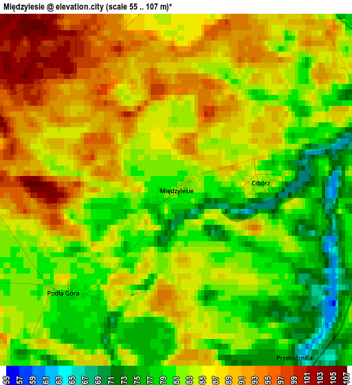 Międzylesie elevation map