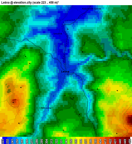 Leśna elevation map