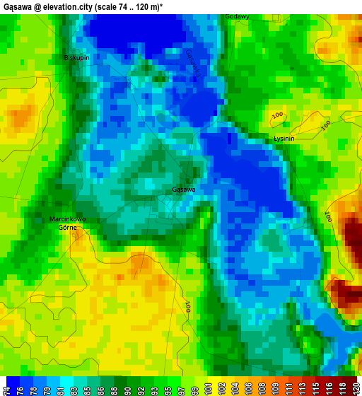 Gąsawa elevation map