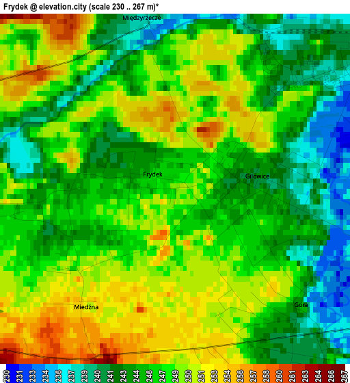 Frydek elevation map