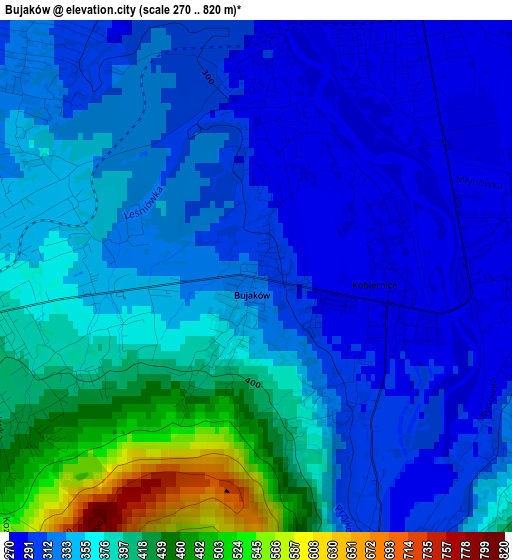 Bujaków elevation map