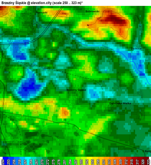 Brzeziny Śląskie elevation map