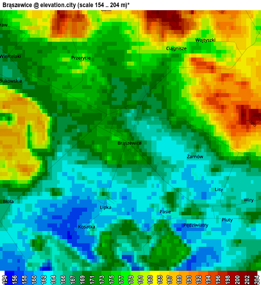 Brąszewice elevation map