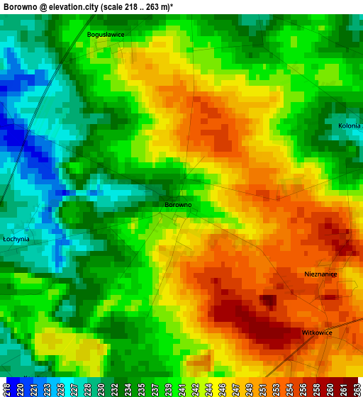 Borowno elevation map