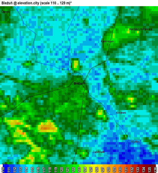 Bieżuń elevation map