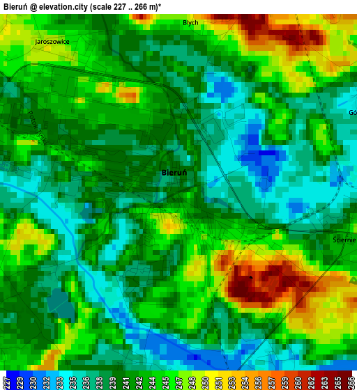 Bieruń elevation map