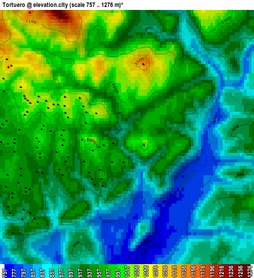 Tortuero elevation map