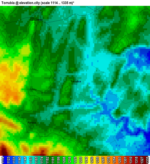 Torrubia elevation map