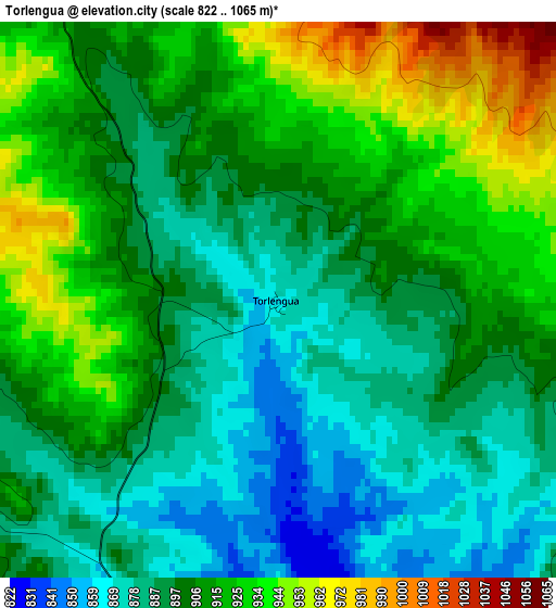 Torlengua elevation map