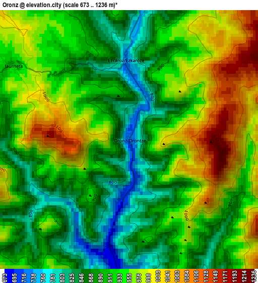 Oronz elevation map