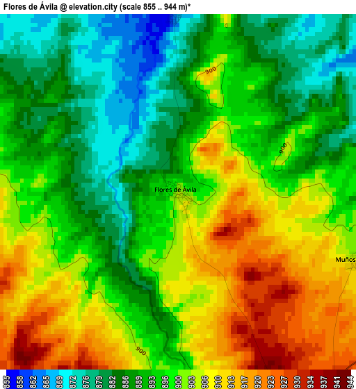 Flores de Ávila elevation map