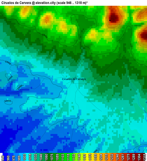 Ciruelos de Cervera elevation map